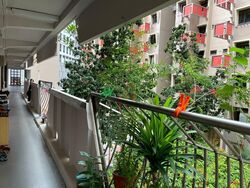 Blk 10 Selegie House (Central Area), HDB 3 Rooms #375804081